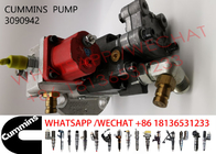 3090942 ISM11 QSM11 Common Rail Fuel Pump 3417677 3417674 3075340 3041800